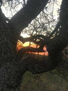 atardecer en el Pucará
